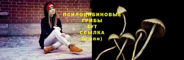 винт Надым