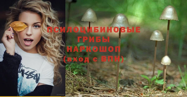 винт Надым