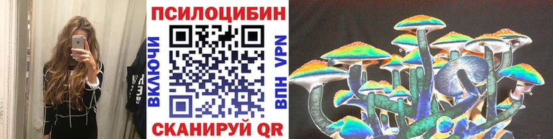 купить  цена  Собинка  Псилоцибиновые грибы мицелий 